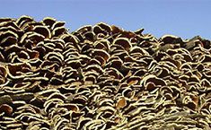 Piled natural corks by Subermex